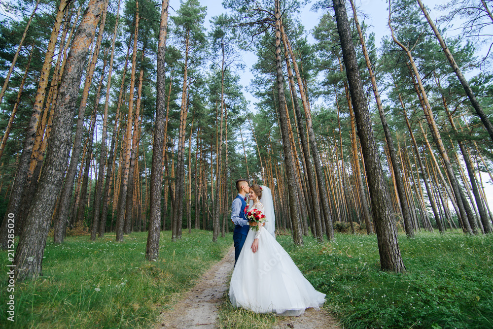 Bride and groom in a park kissing.couple newlyweds bride and groom at a wedding in nature green forest are kissing photo portrait.Wedding Couple Bride and groom in a park kissing.couple newlyweds bride and groom at a wedding in nature green forest are kissing photo portrait.Wedding Couple