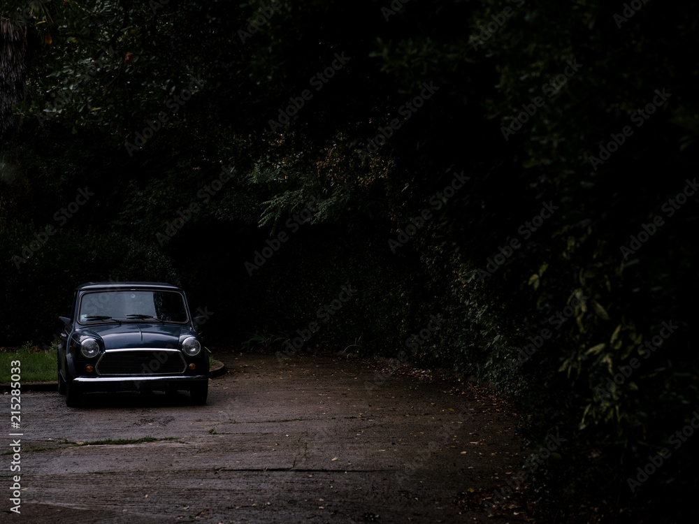Old car in dark park Old car in dark park