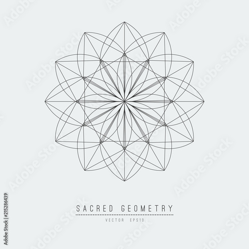Sacred geometry line vector element flower of life . Vector illustration .