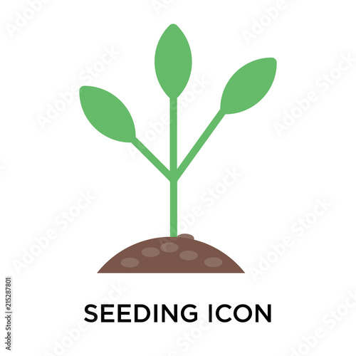 seeding icon isolated on white background. Simple and editable seeding icons. Modern icon vector illustration.