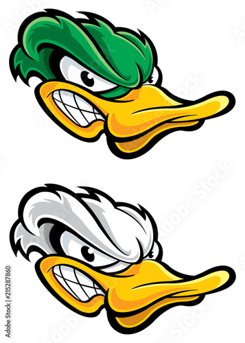 Duck