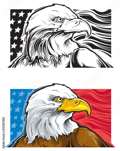 Bald eagle