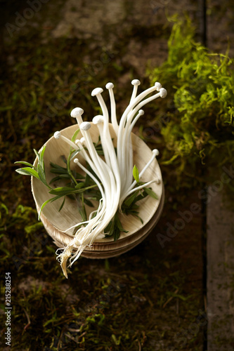 Overhead View of Raw Enoki Mushrooms on Small Plate on a background of Moss, Dirt and Wood