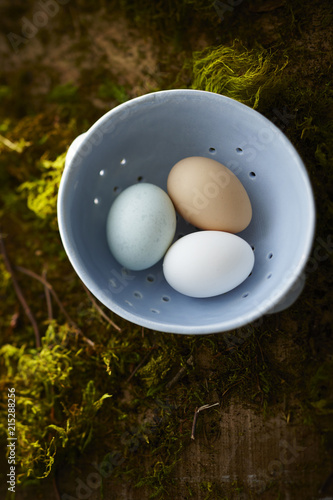Overhead View of Blue, Brown, and White Eggs in Blue Ceramic Colander on Tabletop Covered in Moss and Dirt