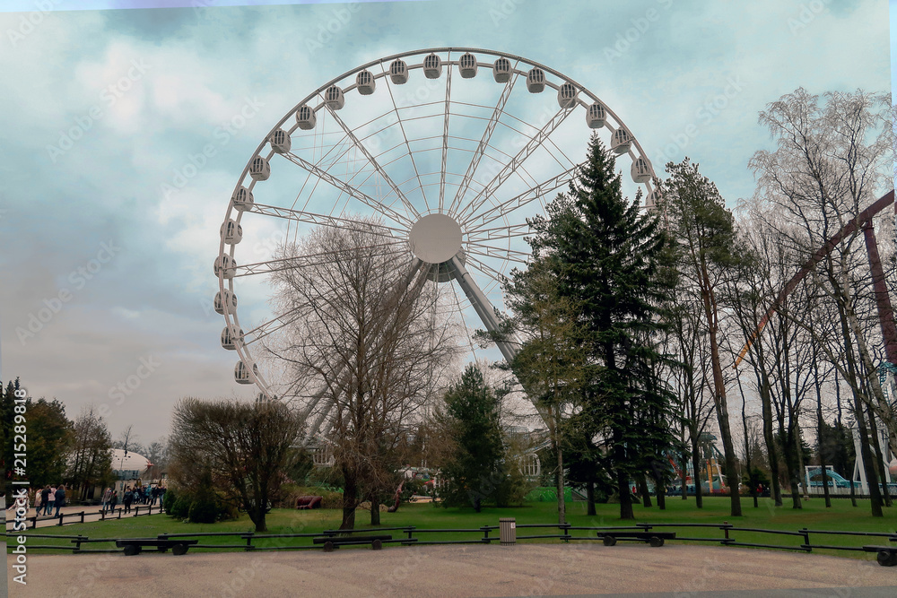 Ferris wheel in an amusement park