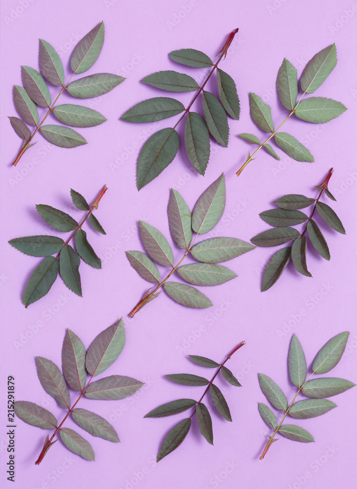 Floral wallpaper of rosehip leaves on a purple background.