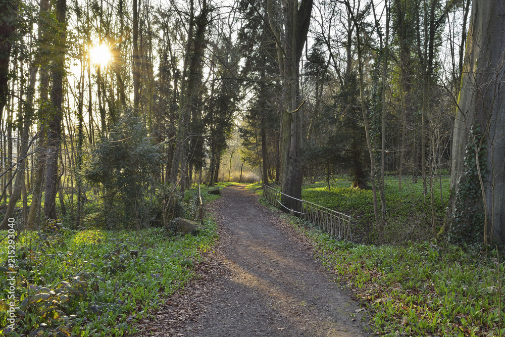 Gravel Path through Park with Sun in Early Spring, Kleinheubach, Churfranken, Spessart, Bavaria, Germany Gravel Path through Park with Sun in Early Spring, Kleinheubach, Churfranken, Spessart, Bavaria, Germany