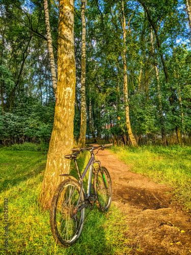 MTB bicycle on the trail in the summer season © zyoma_1986