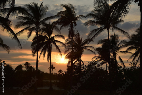 Tropical Sunset in Cuba, palm trees at sunset