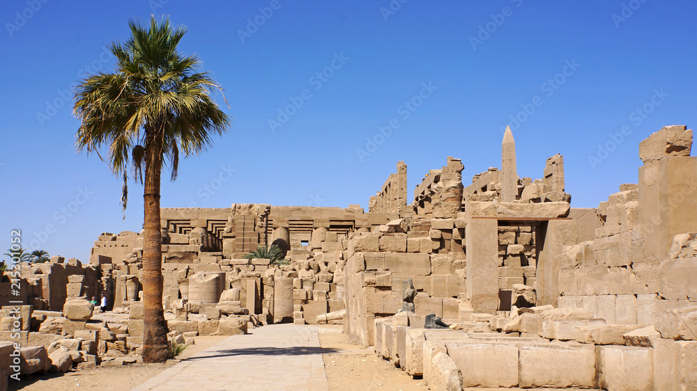 Ruins of Luxor temple and palm tree