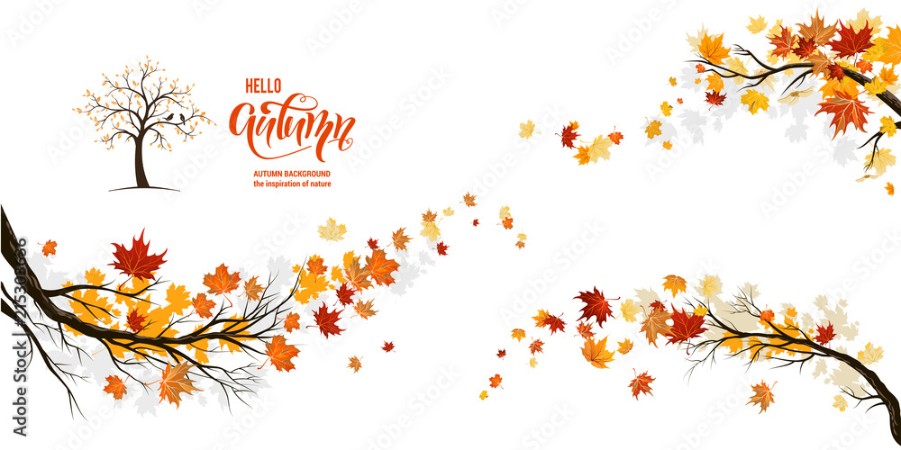 Naklejka premium Natura upadku gałęzi