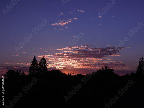 Sunset with two pine trees and clouds in the sky
