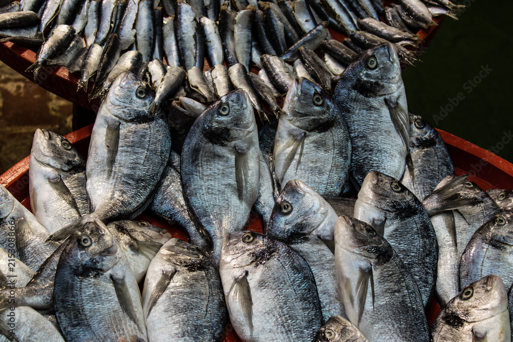 Fototapeta premium gray mullets on red tray at fish monger