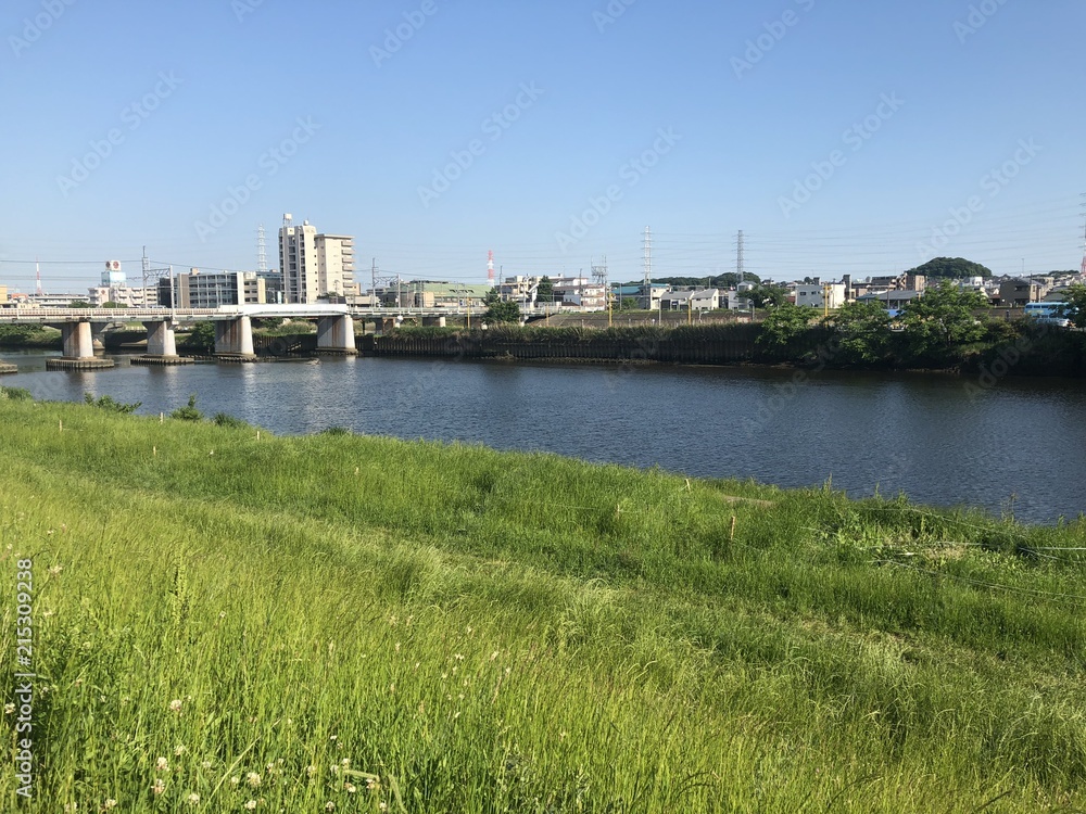 土手の美しい風景