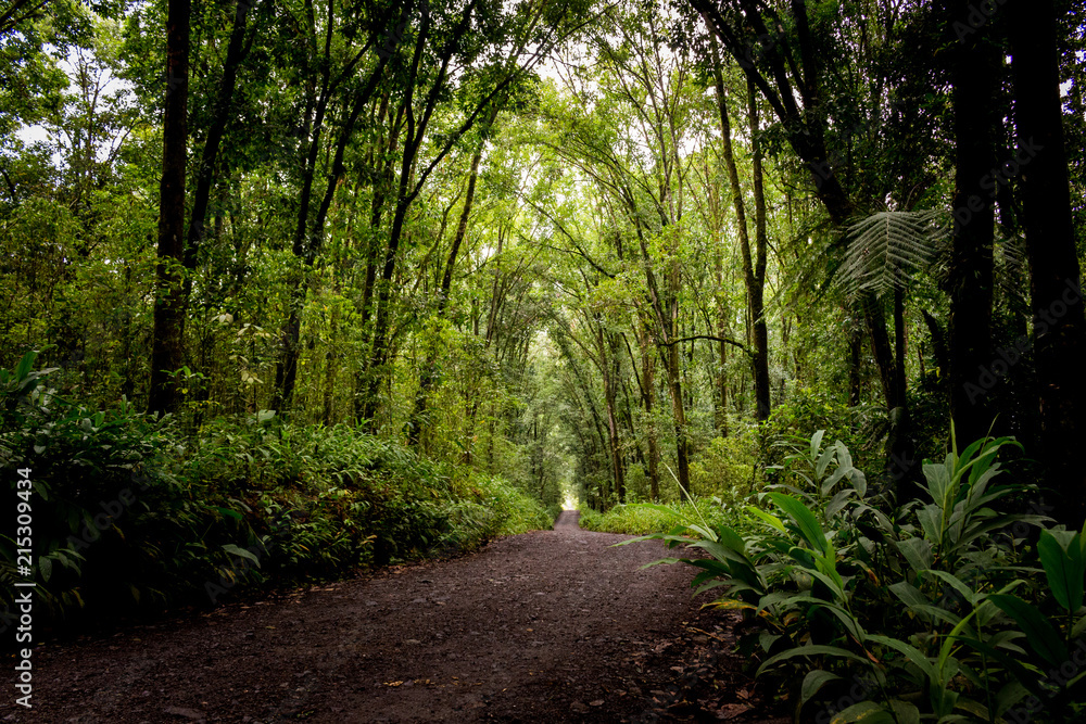 Fototapeta premium El caminito
