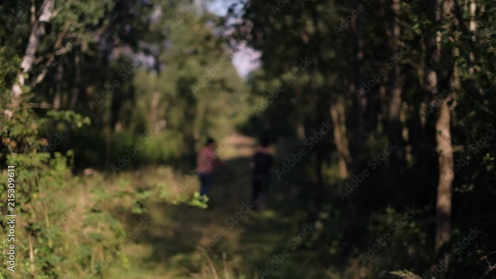 Mother and daughter walking and discovering the forest, family lifestyle concept, summer evening background, handheld shot in 4K UHD Mother and daughter walking and discovering the forest, family lifestyle concept, summer evening background, handheld shot in 4K UHD