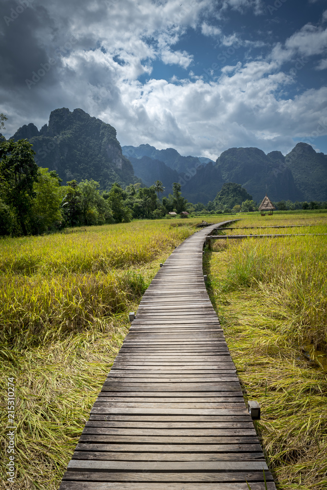 Fototapeta Vangvieng Laos, krajobraz i pole ryżowe