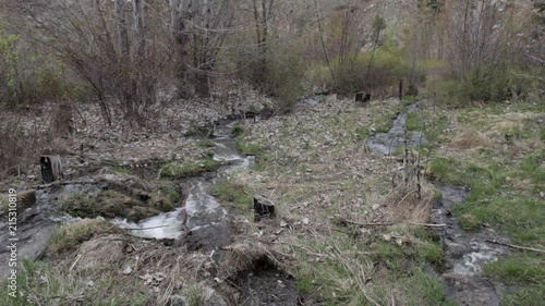 Wallpaper Mural Two Streams Flowing Side By Side In Grassy Forest On Mountain Torontodigital.ca