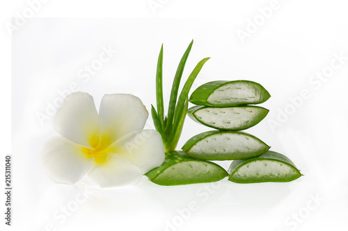 Aloe vera and flower on a white background.