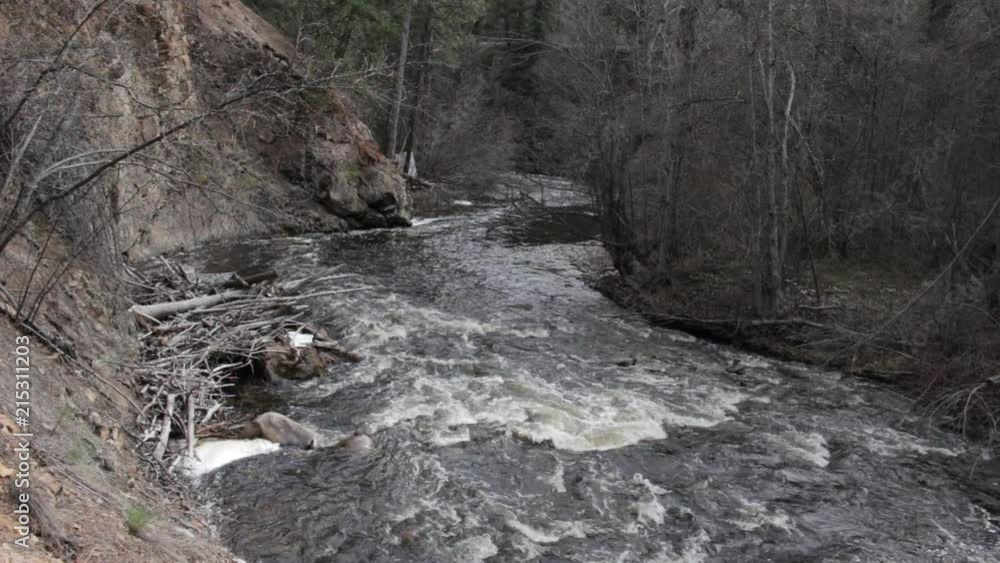 Rushing Creek At Bottom Of Mountain Cliff In Forest Rushing Creek At Bottom Of Mountain Cliff In Forest