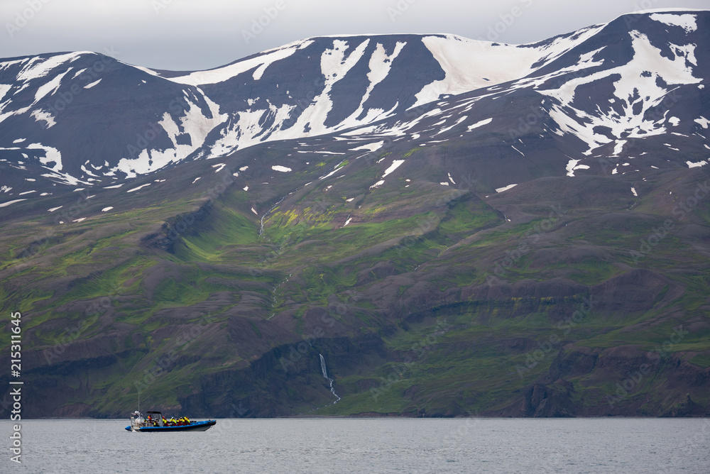 Obraz premium Humbak. Obserwowanie wielorybów w Husaviku na północy Islandii.