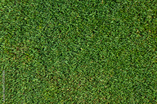 Foto Top view of short golf putting green grass as a background