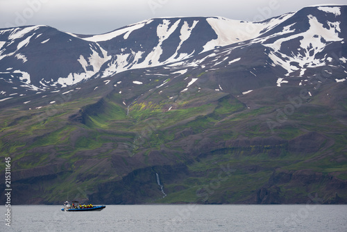 Humpback whale. Whale watching in Husavik, North Iceland.