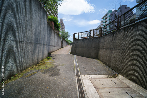 Wallpaper Mural 大横川親水公園 Torontodigital.ca