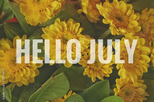 Text Hello July on yellow flowers background.