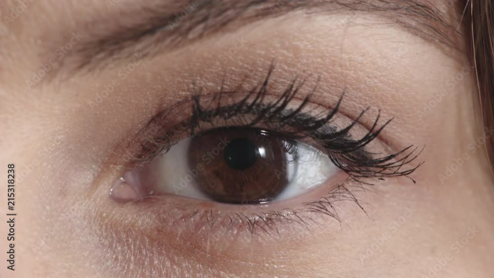 close up young woman eye opening wearing makeup looking at camera eyelash beauty cosmetics close up young woman eye opening wearing makeup looking at camera eyelash beauty cosmetics