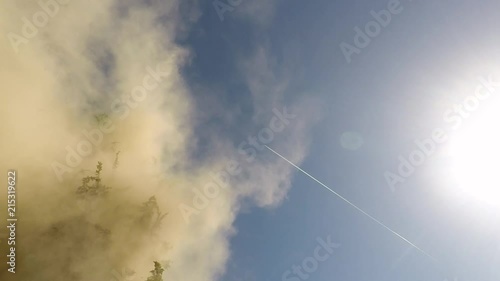 Juniper pollen spread on a sunny day and an airplane in the sky. Slow motion photo