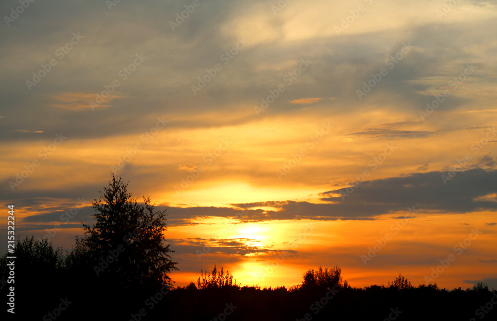 Fototapeta premium Photo of a summer rural landscape with sunset