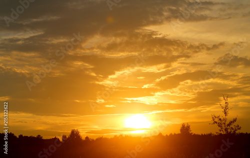 Photo of a summer rural landscape with sunset