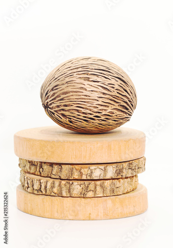 Closeup of  dry Cerbera oddloam's seed on round teak wood on white background photo