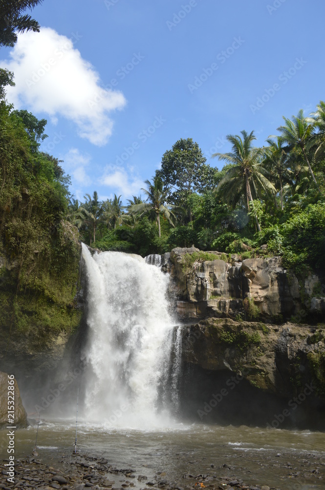 Naklejka premium Waterfall