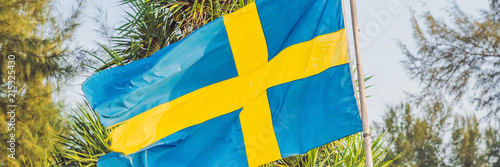 Flag of Sweden against the backdrop of palm trees BANNER, long format photo