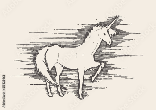 Beautiful unicorn wind vector illustration sketch