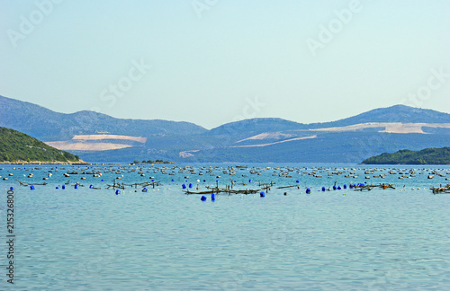 The Oyster Farm in Greece