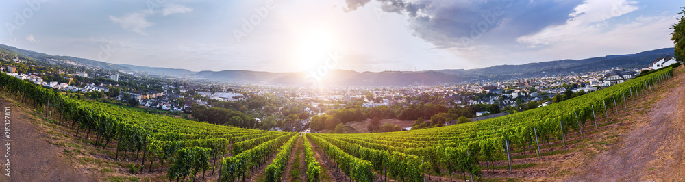 historic trier germany and vineyard from above high definition panorama