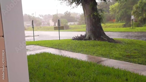 A view of a summer rainstorm overlooking the grass and oak tree trunk next to the road. photo