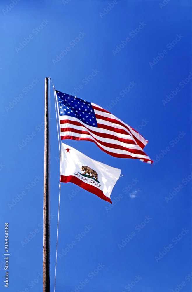 Fototapeta premium Flags