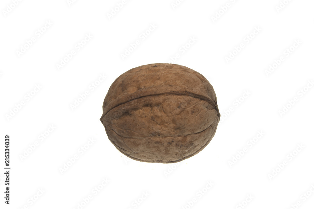 walnut isolated on white background walnut isolated on white background