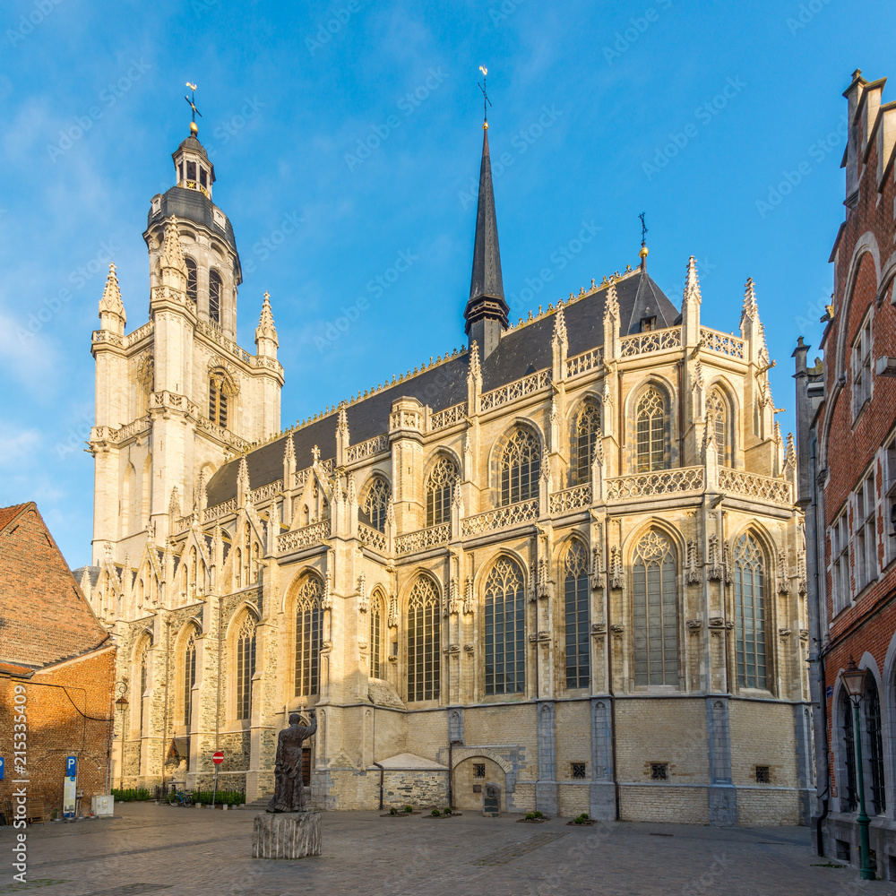 View at the Basilica of Saint Martin in Halle - Belgium