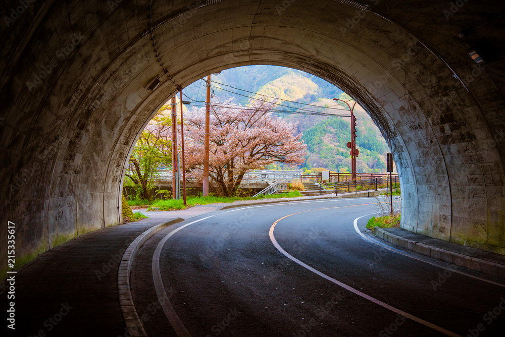  sakura tree at the end of tunnel.