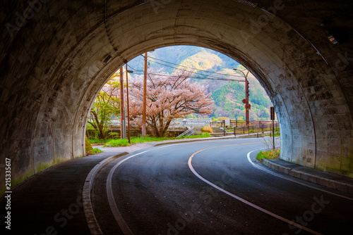  sakura tree at the end of tunnel.