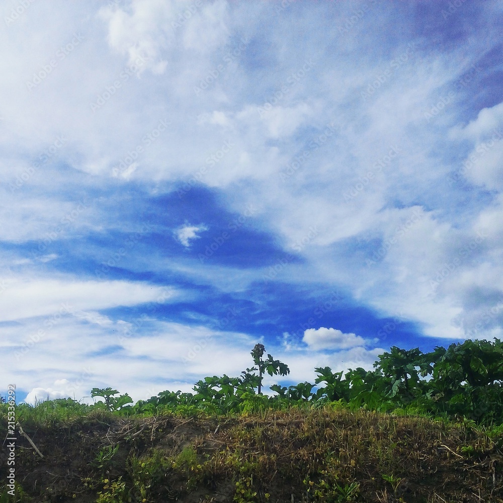 Obraz premium blue sky