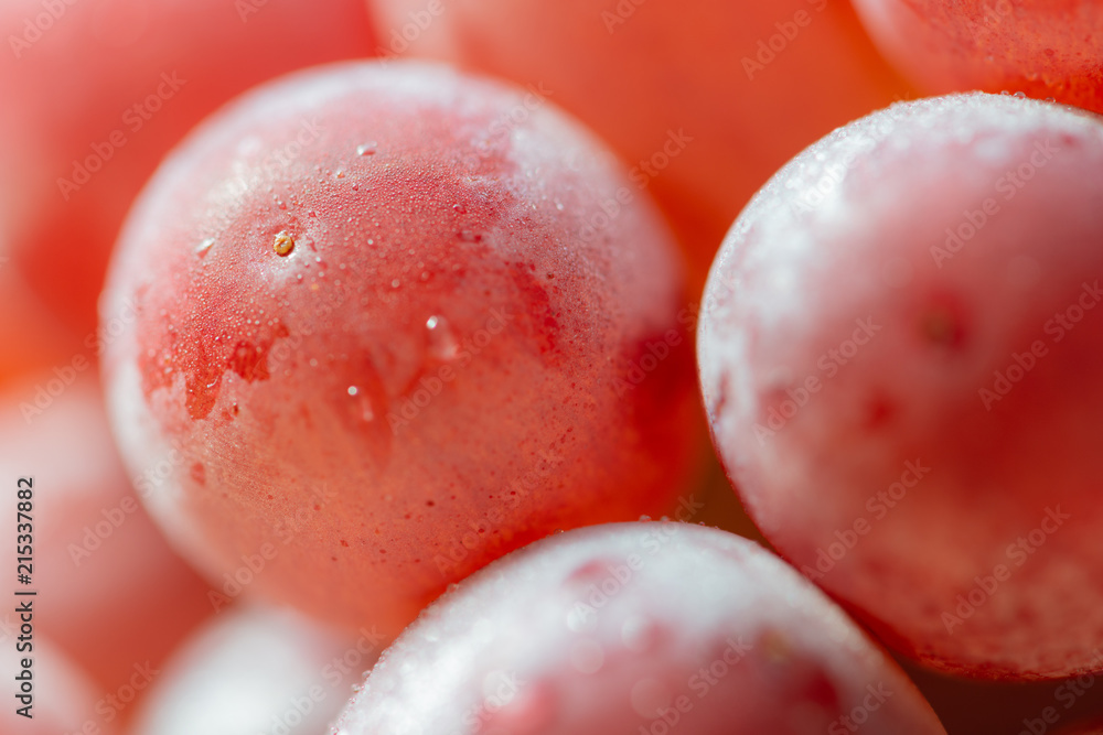 Bunches of fresh ripe red grapes Bunches of fresh ripe red grapes