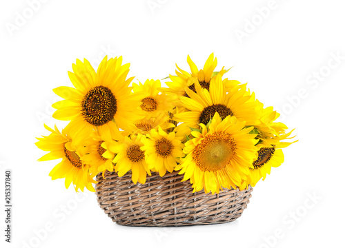 Wicker basket with beautiful yellow sunflowers on white background