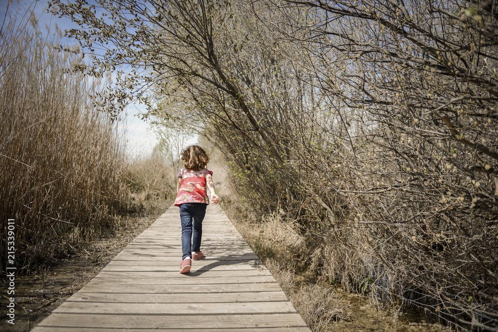 Little girl walking on a path of wooden boards in a wetland Little girl walking on a path of wooden boards in a wetland