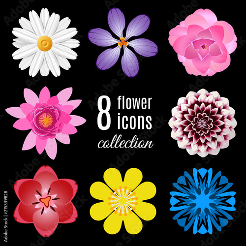 Realistic flower bloom icons set: camomile, crocus, camellia (thea), lotus, dahlia, tulip, buttercup, cornflower. Objects isolated on black background. Vector illustration for your floral design